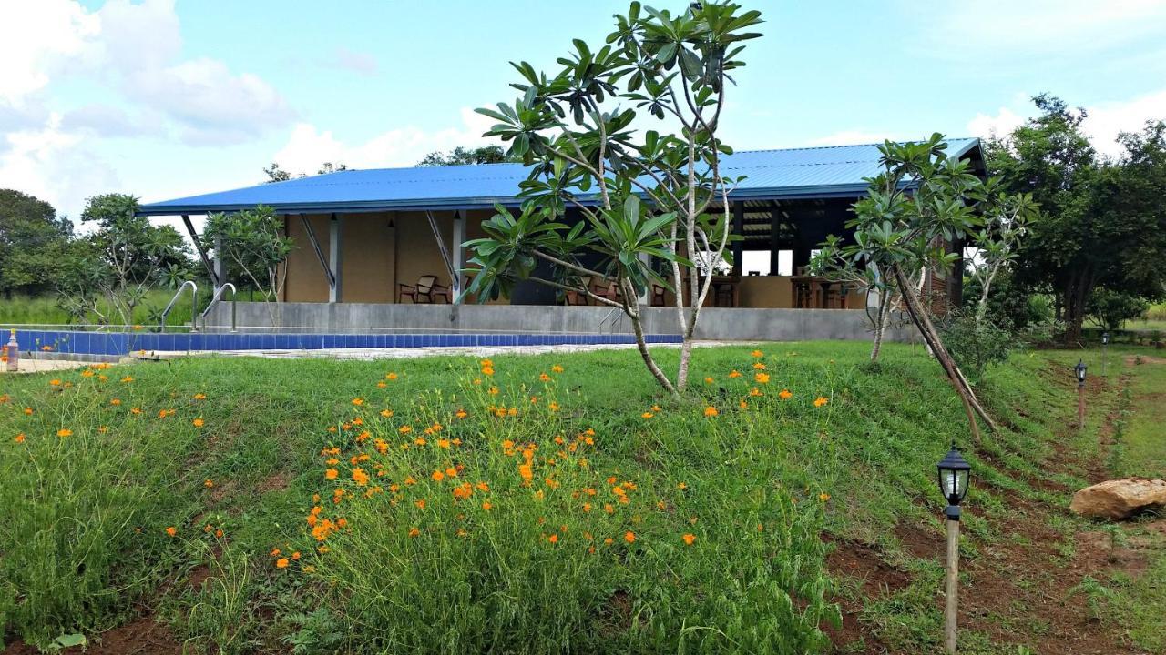 Hotel Birdwing Sigiriya Exterior foto