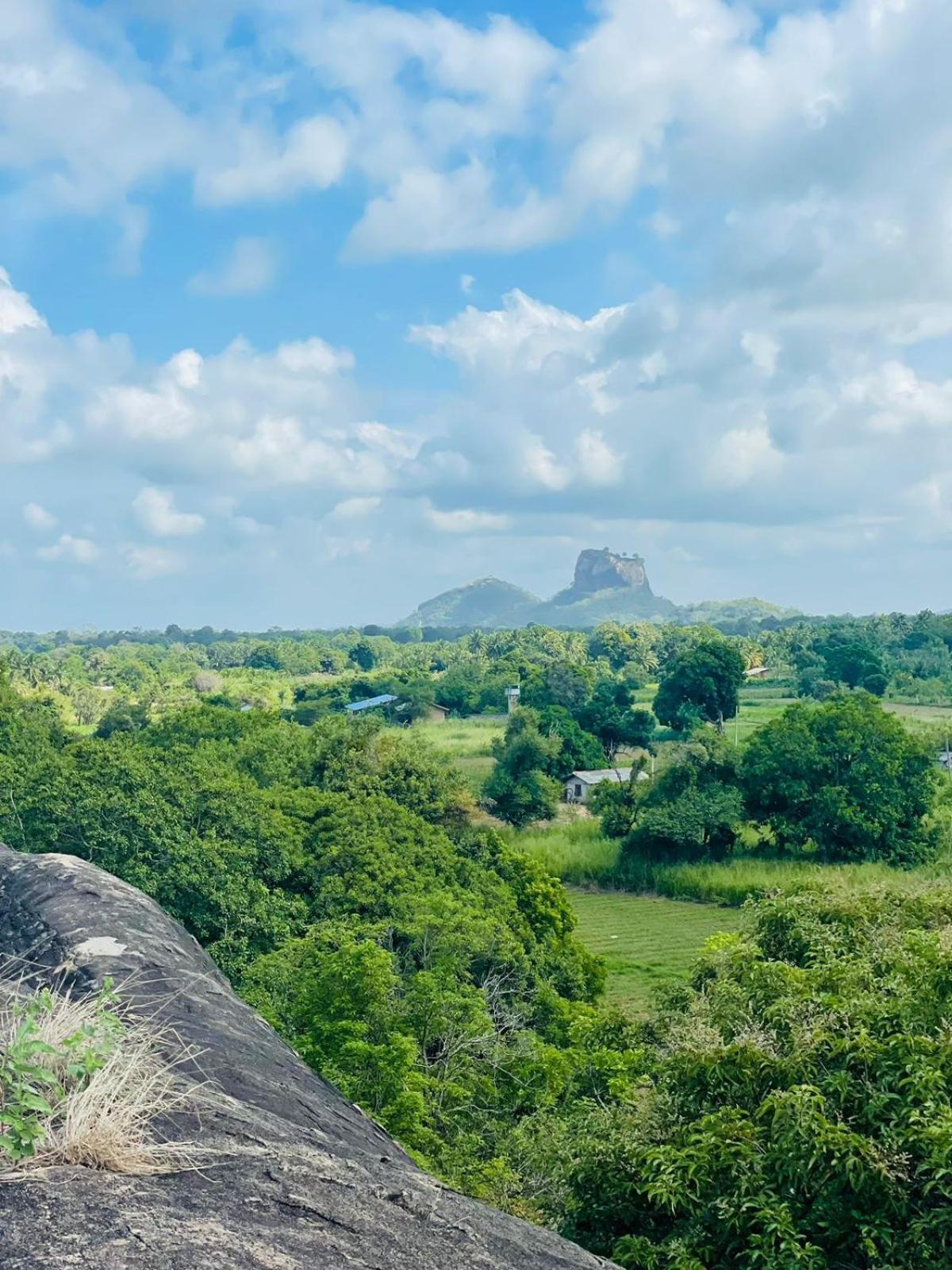 Hotel Birdwing Sigiriya Exterior foto