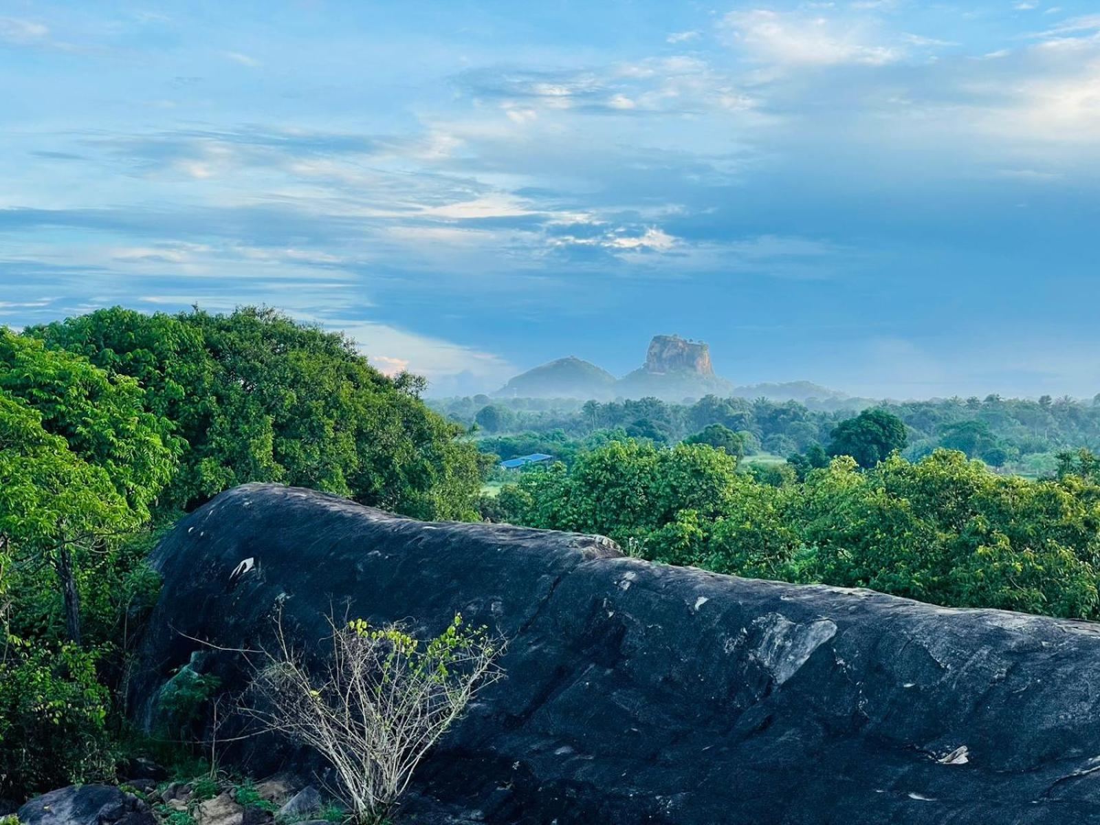 Hotel Birdwing Sigiriya Exterior foto