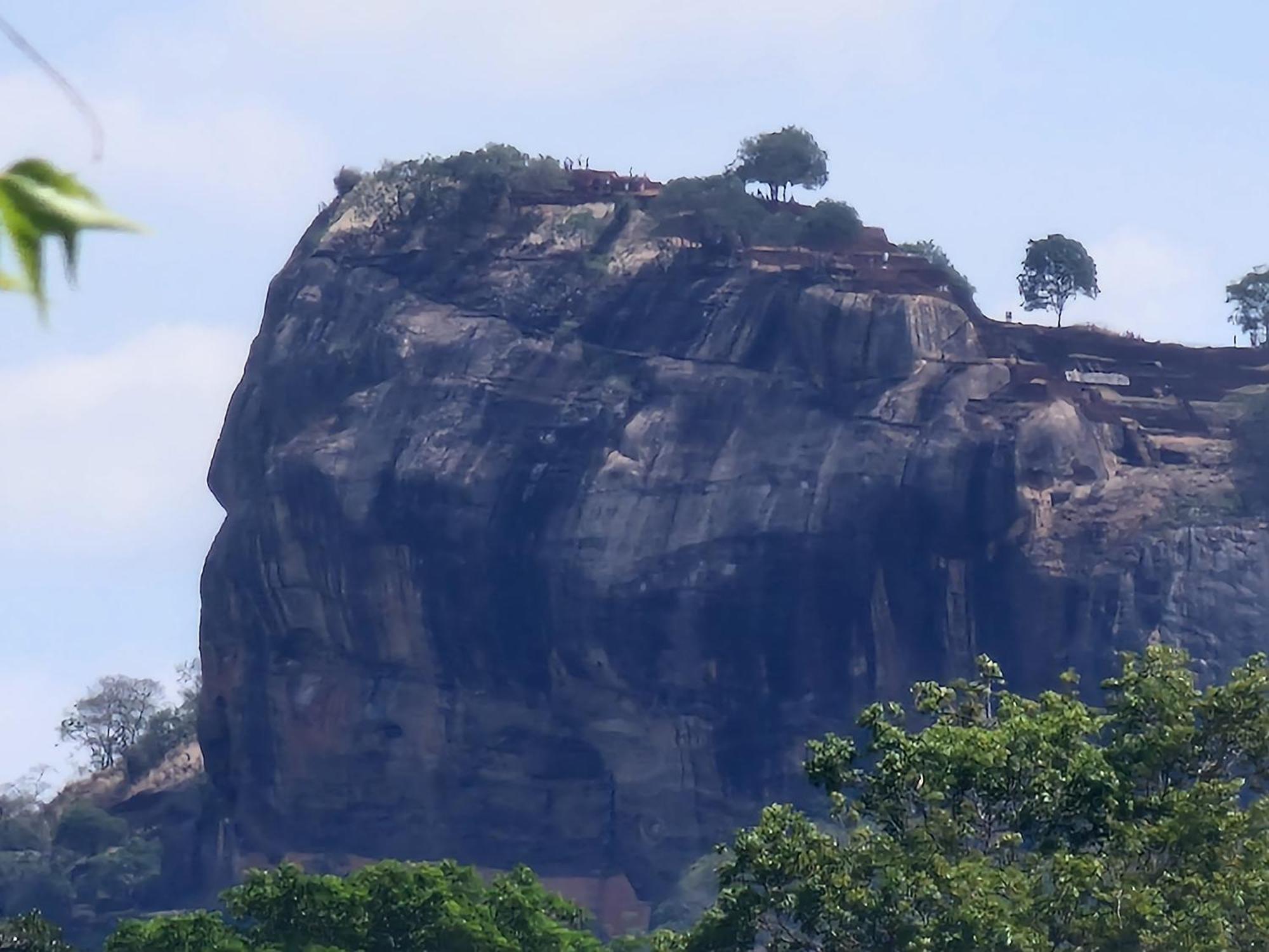 Hotel Birdwing Sigiriya Exterior foto